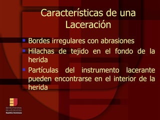 Características de una Laceración Bordes irregulares con abrasiones Hilachas de tejido en el fondo de la herida Partículas del instrumento lacerante pueden encontrarse en el interior de la herida 