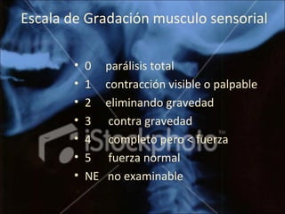 Escala de Gradación musculo sensorial
• 0 parálisis total
• 1 contracción visible o palpable
• 2 eliminando gravedad
• 3 contra gravedad
• 4 completo pero < fuerza
• 5 fuerza normal
• NE no examinable
 