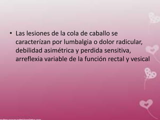 • Las lesiones de la cola de caballo se
caracterízan por lumbalgia o dolor radicular,
debilidad asimétrica y perdida sensitiva,
arreflexia variable de la función rectal y vesical
 