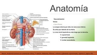Trauma renal - copia | PPTX