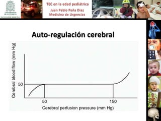 Auto-regulación cerebral
 