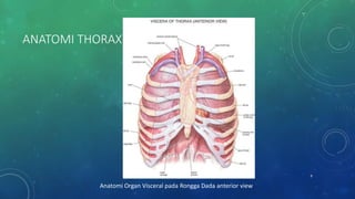 Comprehensive Overview of Thoracic and Abdominal Trauma Management | PDF