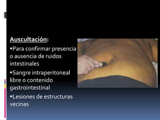 Auscultación:
Para confirmar presencia
o ausencia de ruidos
intestinales
Sangre intraperitoneal
libre o contenido
gastrointestinal
Lesiones de estructuras
vecinas
 