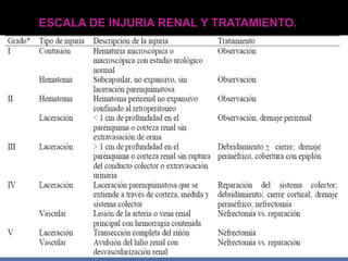 ESCALA DE INJURIA RENAL Y TRATAMIENTO.
 