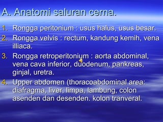 A. Anatomi saluran cerna. Rongga peritonium : usus halus, usus besar. Rongga velvis : rectum, kandung kemih, vena illiaca. Rongga retroperitonium : aorta abdominal, vena cava inferior, duodenum, pankreas, ginjal, uretra.  Upper abdomen (thoracoabdominal area: diafragma, liver, limpa, lambung, colon asenden dan desenden. kolon tranveral. 