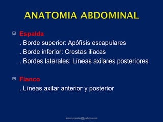    Espalda
    . Borde superior: Apófisis escapulares
    . Borde inferior: Crestas iliacas
    . Bordes laterales: Líneas axilares posteriores

   Flanco
    . Líneas axilar anterior y posterior



                     antonycaster@yahoo.com
 