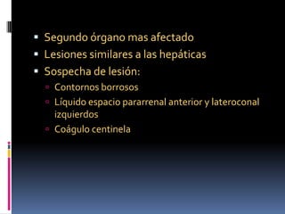  Segundo órgano mas afectado
 Lesiones similares a las hepáticas
 Sospecha de lesión:
   Contornos borrosos
   Líquid...