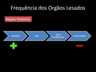 Frequência dos Orgãos Lesados 
Duodeno Rim 
Colon 
Asc/Descente 
Trato Urinário 
Região Posterior 
 