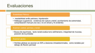 Evaluaciones
• inestabilidad anillo pelviano, hipotensión
• Hallazgos sugestivos: evidencia de ruptura uretral, acortamiento de extremidad,
comprobación manual una vez ( no en shock y fx evidente)
Estabilidad Pélvica
• Busca de equimosis, tacto rectal evalúa tono esfinteriano, integridad de mucosa,
posición de la próstata
Examen uretral, perinea y rectal
• Heridas glúteas se asocian en 50% a lesiones intraabdominales, como rectales por
debajo de flexión perineal
Examen gluteo
 