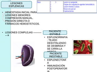 LESIONES
ESPLÉNICAS
• HEMOSTASIA INICIAL PARA
LESIONES MENORES:
COMPRESIÓN MANUAL,
PRESIÓN DIRECTA O
FÁRMACOS HEMOSTÁTICOS.
• LESIONES COMPLEJAS ----------
--
PACIENTE
ESTABLE
• ESPLENORRAFIA
: TEJIDO
DESVITALIZADO
SE DESBRIDA Y
SE CIRRA LA
HERIDA.
PACIENTE
INESTABLE
• ESPLENECTOMÍ
A
• INMUNIZACIÓN
POSTOPERATOR
 