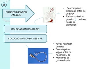PROCEDIMIENTOS
ANEXOS
COLOCACIÓN SONDA NG
COLOCACIÓN SONDA VESICAL
• Descomprimir
estómago antes de
un LPD
• Retirar contenido
gástrico ( reduce
riesgo de
aspiración)
• Aliviar retención
urinaria
• Descomprimir
vejiga antes de
hacer un LPD
• Monitoreo de
gasto urinario
2
 