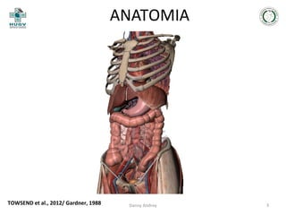 ANATOMIA

TOWSEND et al., 2012/ Gardner, 1988

Danny Andrey

3

 
