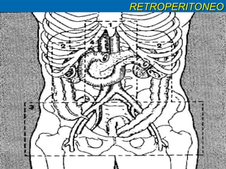RETROPERITONEO 