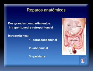 Reparos anatómicos
Dos grandes compartimientos:
intraperitoneal y retroperitoneal
Intraperitoneal:
1.- toracoabdominal
2.- abdominal
3.- pelviana
 