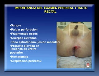 IMPORTANCIA DEL EXAMEN PERINEAL Y TACTO
RECTAL
•Sangre
•Palpar perforación
•Fragmentos óseos
•Cuerpos extraños
•Tono esfinteriano (lesión medular)
•Próstata elevada en
lesiones de uretra
posterior
•Hematomas
•Crepitación perirectal
 