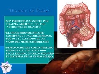 • SON PRODUCIDAS MAS FCTE POR
T RAUMA ABIERTO Y TAC POR
ACCIDENTES DE TRANSITO
• EL SHOCK HIPOVOLEMICO SE
CONSIDERA UN FACTOR DE RIESGO,
POR QUE EL SANGRADO DE LOS
VASOS DEL MESO ES IMPORTANTE
• PERFORACION DEL COLON DERECHO
PRODUCE FUGA DE CONTENIDO
FECAL LIQUIDO, EN COLON IZQUIERD
EL MATERIAL FECAL ES MAS SOLIDO
TRAUMA DE COLONTRAUMA DE COLON
 