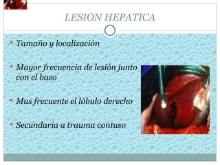 LESION HEPATICA

 Tamaño y localización


 Mayor frecuencia de lesión junto
 con el bazo

 Mas frecuente el lóbulo derecho


 Secundaria a trauma contuso
 