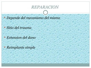 REPARACION

 Depende del mecanismo del mismo


 Sitio del trauma


 Extension del dano


 Reimplante simple
 