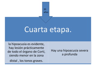 Cuarta etapa. 
la hipoacusia es evidente, 
hay lesión prácticamente 
de todo el órgano de Corti, 
siendo menor en la zona 
distal , los tonos graves. 
Hay una hipoacusia severa 
a profunda 
20 
años 
 