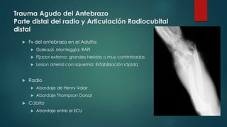 Trauma Agudo del Antebrazo
Parte distal del radio y Articulación Radiocubital
distal
 Fx del antebrazo en el Adulto:
 Galeazzi, Monteggia: RAFI
 Fijador externo: grandes heridas o muy contminadas
 Lesion arterial con isquemia: Estabilización rápida
 Radio
 Abordaje de Henry Volar
 Abordaje Thompson Dorsal
 Cúbito
 Abordaje entre el ECU
 