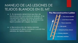 MANEJO DE LAS LESIONES DE
TEJIDOS BLANDOS EN EL MT
 5. Es necesario determinar que tipo de
reconstrucción secundaria se realizara. Si se
necesitarán injertos nerviosos, el pedículo
vascular del colgajo libre se situara lo mas
lejano posible del colgajo nervioso
 6. Reconstrucción de tejidos blandos
compuesta se debe considerar cuando hay
péridda de tejidos blandos
 