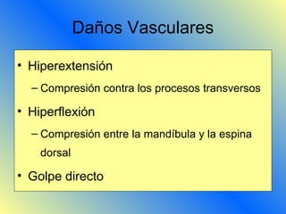 Daños Vasculares
• Hiperextensión
– Compresión contra los procesos transversos
• Hiperflexión
– Compresión entre la mandíbula y la espina
dorsal
• Golpe directo
 