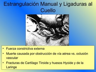 emergentoparucho.com
Estrangulación Manual y Ligaduras al
Cuello
• Fuerza constrictiva externa
• Muerte causada por obstrucción de vía aérea vs. oclusión
vascular
• Fracturas de Cartílago Tiroide y huesos Hyoide y de la
Laringe
 