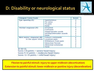 Flexion to painful stimuli: injury to upper midbrain (decortication)
Extension to painful stimuli: lower midbrain or pontine injury (decerebration)
 