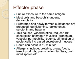 Effector phase
 Future exposure to the same antigen
 Mast cells and basophils undergo
degranulation
 Preformed and newly formed substances are
produced, eg histamine, leukotrienes,
serotonin and heparin
 This causes, vasodilatation, reduced BP,
constriction of smooth muscles (bronchus),
vascular permeability- edema, stimulation of
goblet cells increased secretion of mucous
 Death can occur in 10 minutes
 Allergens include, proteins, drugs, foods,
insect products, plants pollen, fur/ hair, dust
mold spores etc
 