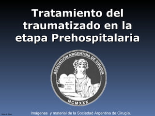 Tratamiento del
                 traumatizado en la
                etapa Prehospitalaria




Nidia A. Real     Imágenes y material de la Sociedad Argentina de Cirugía.
 
