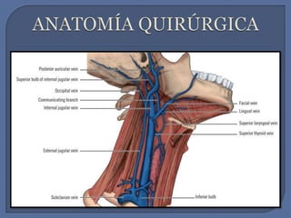 ANATOMÍA QUIRÚRGICA 