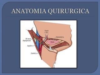 ANATOMIA QUIRURGICA 