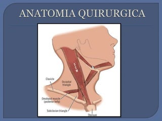 ANATOMIA QUIRURGICA 