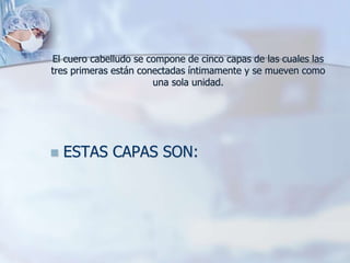 El cuero cabelludo se compone de cinco capas de las cuales las
tres primeras están conectadas íntimamente y se mueven como
una sola unidad.
 ESTAS CAPAS SON:
 
