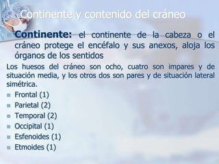 Continente y contenido del cráneo
 Continente: el continente de la cabeza o el
cráneo protege el encéfalo y sus anexos, aloja los
órganos de los sentidos
Los huesos del cráneo son ocho, cuatro son impares y de
situación media, y los otros dos son pares y de situación lateral
simétrica.
 Frontal (1)
 Parietal (2)
 Temporal (2)
 Occipital (1)
 Esfenoides (1)
 Etmoides (1)
 