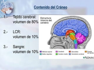 Contenido del Cráneo
1.- Tejido cerebral:
volumen de 80%
2.- LCR:
volumen de 10%
3.- Sangre:
volumen de 10%
 