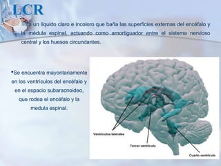 LCR
Es un líquido claro e incoloro que baña las superficies externas del encéfalo y
la médula espinal, actuando como amortiguador entre el sistema nervioso
central y los huesos circundantes.
•Se encuentra mayoritariamente
en los ventrículos del encéfalo y
en el espacio subaracnoideo,
que rodea el encéfalo y la
medula espinal.
 