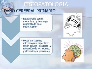 FISIOPATOLOGIA
 DAÑO CEREBRAL PRIMARIO
• Relacionado con el
mecanismo y la energía
desarrollada en el
traumatismo.
• Posee un sustrato
microscópico específico:
lesión celular, desgarro y
retracción de los axones,
y alteraciones vasculares.
 