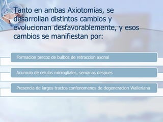  Tanto en ambas Axiotomias, se
desarrollan distintos cambios y
evolucionan desfavorablemente, y esos
cambios se manifiestan por:
Formacion precoz de bulbos de retraccion axonal
Acumulo de celulas microgliales, semanas despues
Presencia de largos tractos confenomenos de degeneracion Walleriana
 