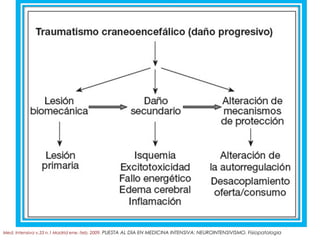 Med. Intensiva v.33 n.1 Madrid ene.-feb. 2009. PUESTA AL DÍA EN MEDICINA INTENSIVA: NEUROINTENSIVISMO. Fisiopatología
 