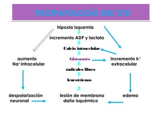FISIOPATOLOGÍA DEL TCEFISIOPATOLOGÍA DEL TCE
hipoxia isquemia
incremento ADP y lactato
aumento incremento k+
Na+
intracelular extracelular
despolarización lesión de membrana edema
neuronal daño isquémico
Calcio intracelular
Glutamato
radicales libres
leucotrienos
 
