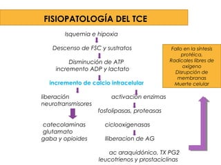 FISIOPATOLOGÍA DEL TCE
Isquemia e hipoxia
Descenso de FSC y sustratos
Disminución de ATP
incremento ADP y lactato
incremento de calcio intracelular
liberación activación enzimas
neurotransmisores
fosfolipasas, proteasas
catecolaminas ciclooxigenasas
glutamato
gaba y opioides lliberacion de AG
ac araquidónico, TX PG2
leucotrienos y prostaciclinas
Fallo en la síntesis
protéica,
Radicales libres de
oxígeno
Disrupción de
membranas
Muerte celular
 