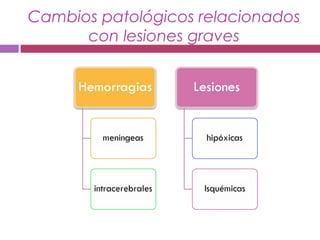 Cambios patológicos relacionados
con lesiones graves
 