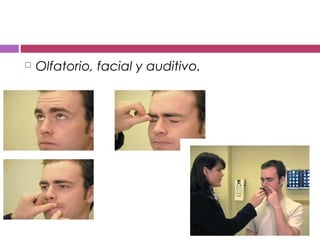  Olfatorio, facial y auditivo.
 