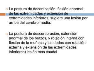    La postura de decorticación, flexión anormal
    de las extremidades y extensión de
    extremidades inferiores, sugiere una lesión por
    arriba del cerebro medio.

   La postura de descerebración, extensión
    anormal de los brazos, y rotación interna con
    flexión de la muñeca y los dedos con rotación
    externa y extensión de las extremidades
    inferiores) lesión mas caudal
 