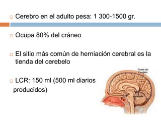    Cerebro en el adulto pesa: 1 300-1500 gr.

   Ocupa 80% del cráneo

   El sitio más común de herniación cerebral es la
    tienda del cerebelo

    LCR: 150 ml (500 ml diarios
    producidos)
 