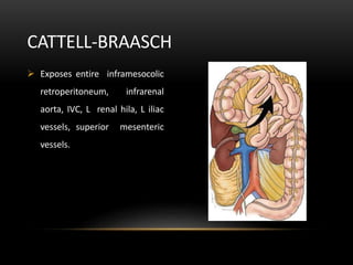  Exposes entire inframesocolic
retroperitoneum, infrarenal
aorta, IVC, L renal hila, L iliac
vessels, superior mesenteric
vessels.
CATTELL-BRAASCH
 