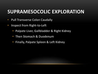 SUPRAMESOCOLIC EXPLORATION
• Pull Transverse Colon Caudally
• Inspect from Right-to-Left
• Palpate Liver, Gallbladder & Right Kidney
• Then Stomach & Duodenum
• Finally, Palpate Spleen & Left Kidney
 