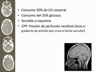 • Consume 20% de O2 corporal
• Consumo del 25% glucosa
• Sensible a isquemia
• CPP: Presión de perfusión cerebral (Mide el
gradiente de presión que cruza el lecho vascular)
 