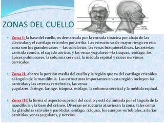 Trauma cuello 